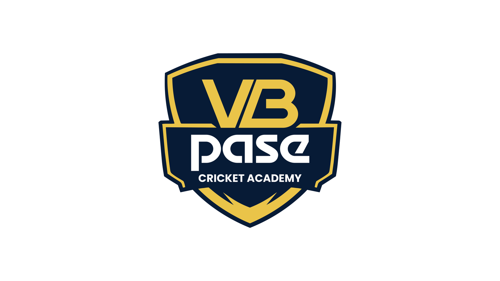 VB PASE Cricket Academy Logo